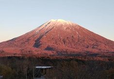 Others 7 Q Fox Gmg Hotel