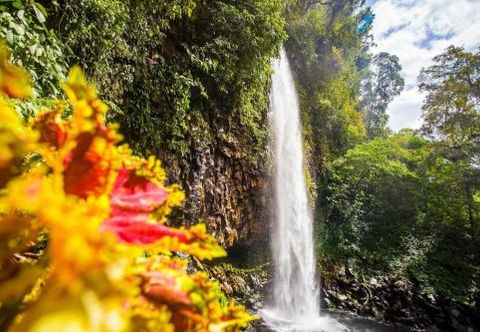 Others Fafan Budget Hotel