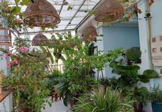 อื่นๆ 5 alley homestay