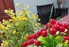 อื่นๆ 6 alley homestay