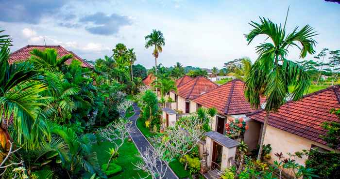 Atraksi di Area Sekitar Villa Mandi Ubud 