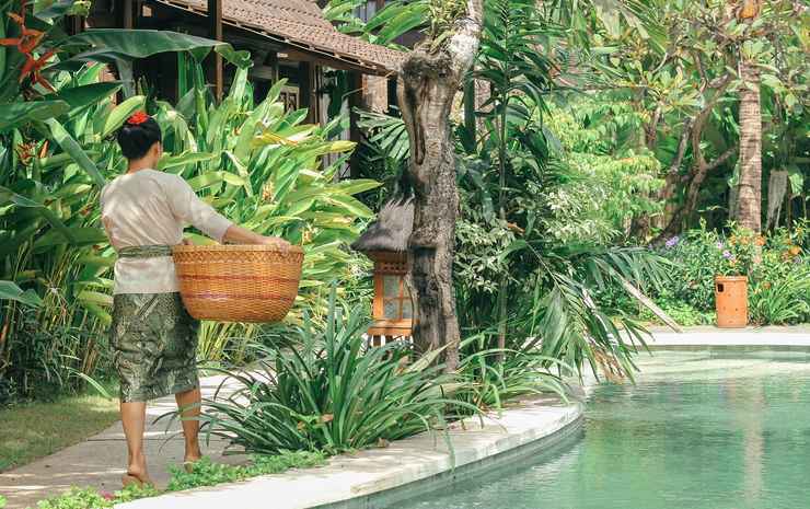  Kampung Cenik Bali - 