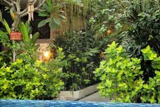 スイミングプール Arana Suite