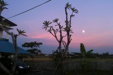 Nearby View and Attractions Jepun Bali Homestay