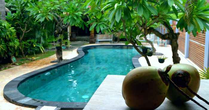 Swimming Pool Coconut Dream