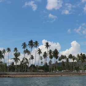 Nearby View and Attractions 8 Hotel Raja Ampat, Pasir Timbul Raja Ampat Hotels