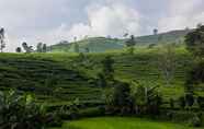 Tempat Tarikan Berdekatan 7 Tea Garden Resort