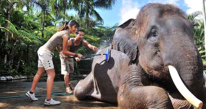 ห้องออกกำลังกาย Mason Elephant Lodge