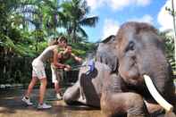 Fitness Center Mason Elephant Lodge