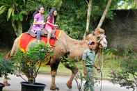 สิ่งอำนวยความสะดวกด้านความบันเทิง Royal Safari Garden Resort  & Convention