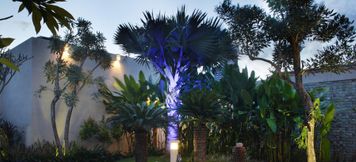 공용 공간 5 Daluman Villa