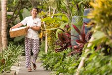 บริการของโรงแรม Kejora Suites