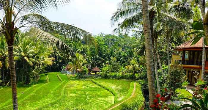 Swimming Pool Umasari Rice Terrace Villa