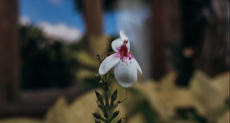 ロビー 2 Eat Sleep Skate