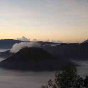 Yog Homestay 1, Hotel Probolinggo