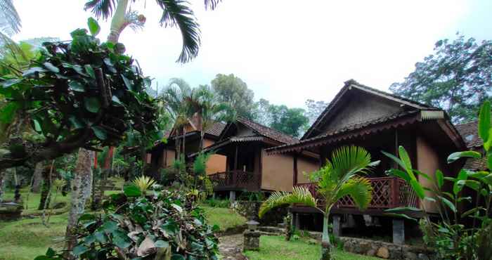 ภายนอกอาคาร Ijen Resto & Guest House