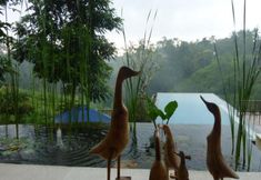 Swimming Pool 5 Amori Villas