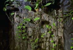 公共空间 6 Bantal Guling Trans