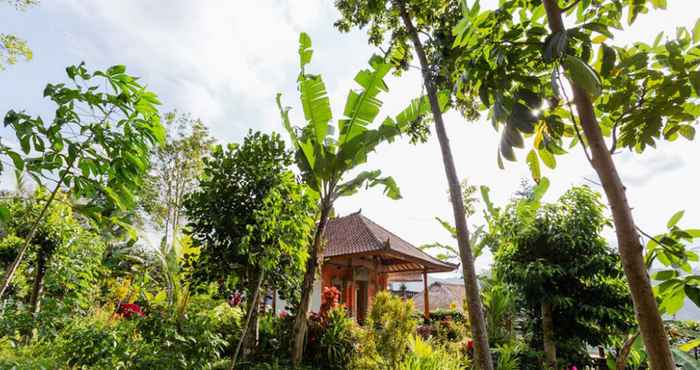 Bên ngoài Lila Stana Homestay