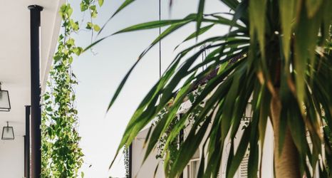 Exterior 2 Brown Feather Batu Belig