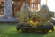 Common Space Cocotinos Sekotong Lombok