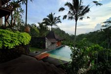 スイミングプール DD Ubud Jungle Villa