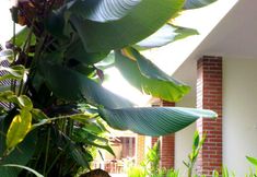 Common Space 5 Puri Pangeran Hotel