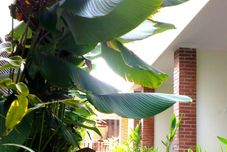 Common Space Puri Pangeran Hotel