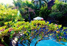 Swimming Pool 6 Hotel My Lovina