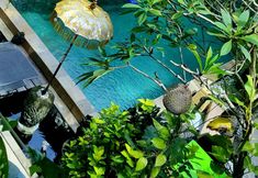 スイミングプール 3 Green Chaka Villa