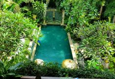 スイミングプール 2 Green Chaka Villa