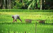 Pusat Kecergasan 7 Villa Damee Ubud