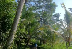 Common Space 5 Villa Damee Ubud
