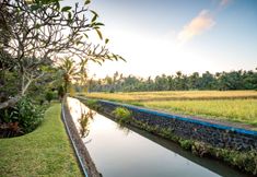 外部的 7 Villa Taman di Blayu by Nagisa Bali