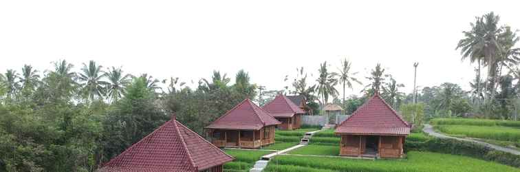 Lobby Ubud Sawah Scenery & Homestay