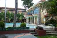 Swimming Pool Hotel Palm 