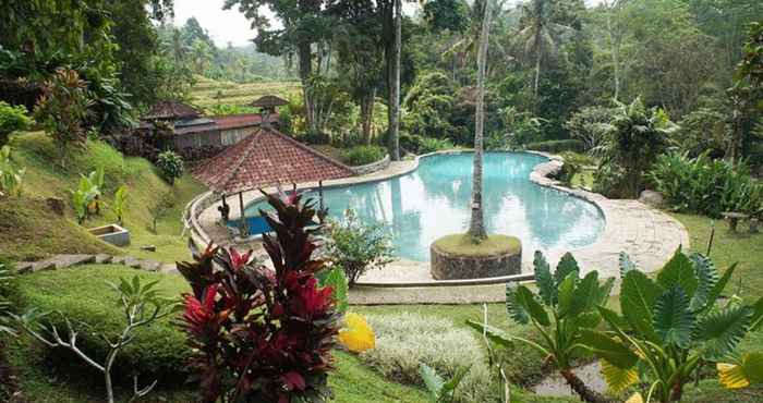 Swimming Pool Yeh Panes Bali 