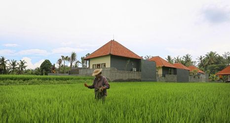 外部的 2 Asri Sari Villa Ubud