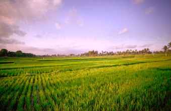 Bangunan 4 The Sawah Villa