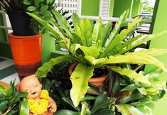 共用スペース 5 Thanapa Mansion Donmuang Airport