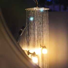 Saree Samui Natures Finest 1, Hotel Tree Top Coffee