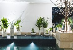 Swimming Pool 7 Two Three A Homely Hotel 
