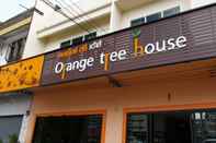 Exterior Orange Tree House