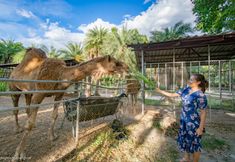 พื้นที่สาธารณะ 7 Horizon Village & Resort