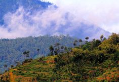 Nearby View and Attractions 4 Villa Watu Emas 3