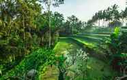 Atraksi di Area Sekitar 7 Alam Penari Ubud