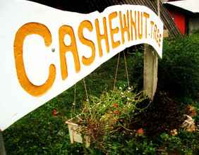 Exterior 4 Cashewnut Tree Bungalows