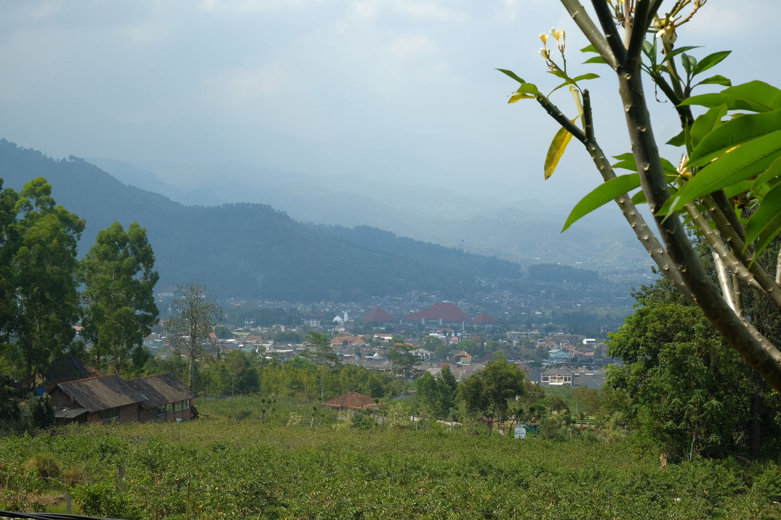 Villa Batoe Pv M 80 Malang Harga Hotel Terbaru Di Traveloka