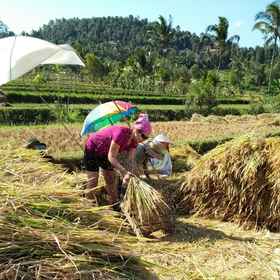 Nearby View and Attractions 1 Atres Villa, Pos Sar Buleleng Hotels