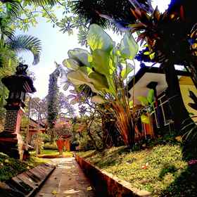 Surf Doggie Inn 1, Hotel Everything IDR 100.000